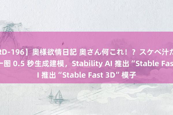 【RD-196】奥様欲情日記 奥さん何これ！？スケベ汁ためすぎだよ 一图 0.5 秒生成建模，Stability AI 推出“Stable Fast 3D”模子