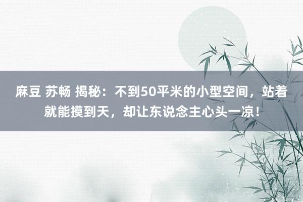 麻豆 苏畅 揭秘：不到50平米的小型空间，站着就能摸到天，却让东说念主心头一凉！