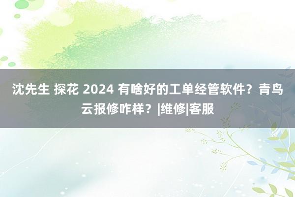 沈先生 探花 2024 有啥好的工单经管软件？青鸟云报修咋样？|维修|客服