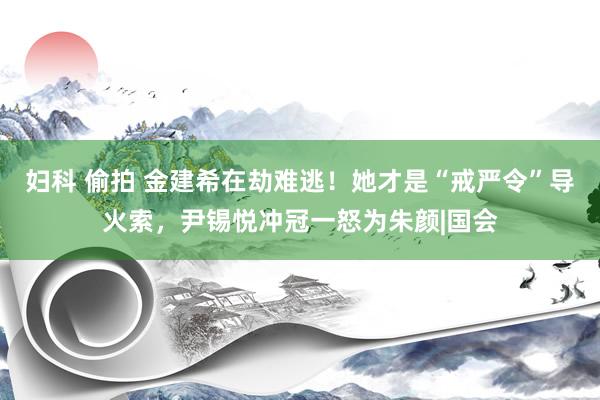 妇科 偷拍 金建希在劫难逃！她才是“戒严令”导火索，尹锡悦冲冠一怒为朱颜|国会