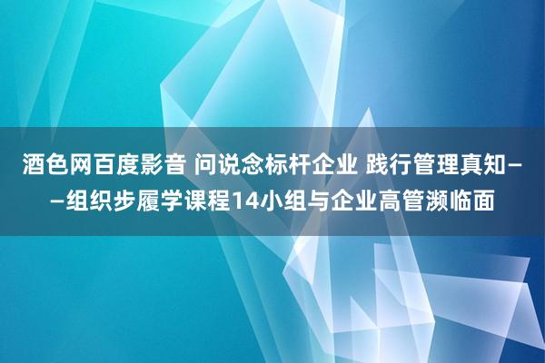 酒色网百度影音 问说念标杆企业 践行管理真知——组织步履学课程14小组与企业高管濒临面