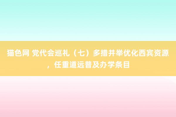 猫色网 党代会巡礼（七）多措并举优化西宾资源，任重道远普及办学条目