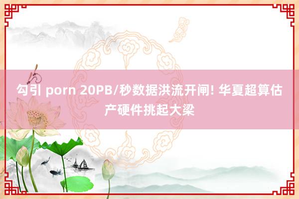 勾引 porn 20PB/秒数据洪流开闸! 华夏超算估产硬件挑起大梁