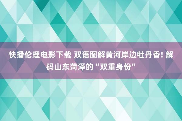 快播伦理电影下载 双语图解黄河岸边牡丹香! 解码山东菏泽的“双重身份”