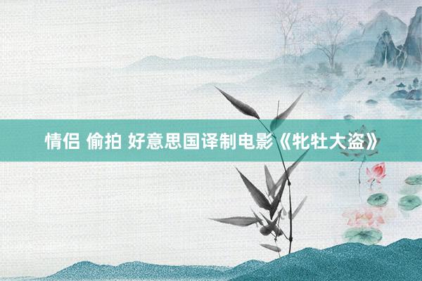情侣 偷拍 好意思国译制电影《牝牡大盗》